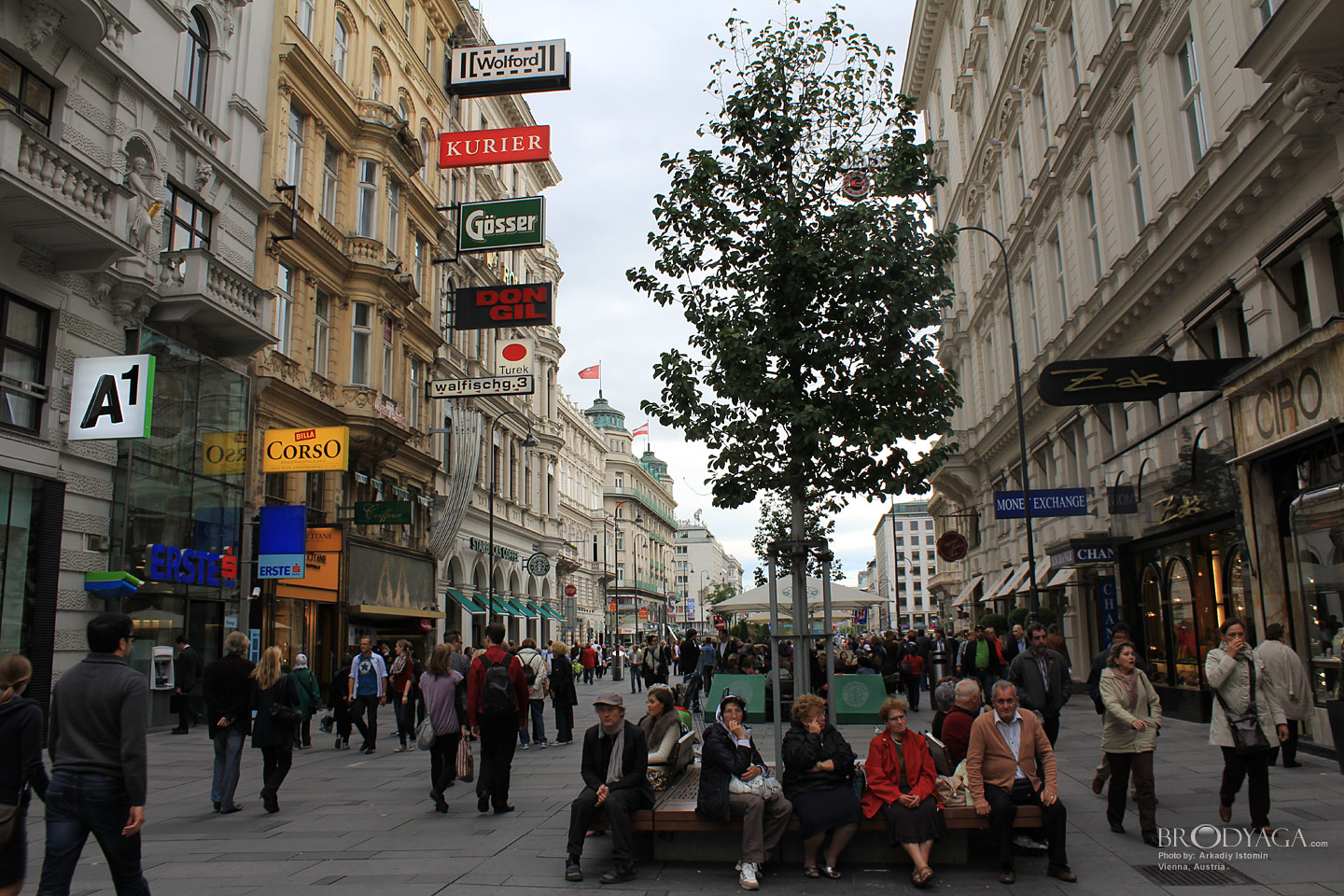 Vienna